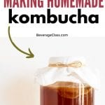 Kombucha Kits | Make Your Own Kombucha | Homemade Kombucha | Tea for Kombucha | Best Tea for Making Kombucha | How do you Make Kombucha? | What's the Best Kind of Tea for Kombucha? | #kombucha #diy #homemade #tea #kombuchakits