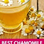 Chamomile Tea for Sleep | What is Chamomile Tea Good For? | Is Chamomile Tea Good for You? | What's the Best Herbal Tea? | Which Herbal Tea Helps You Sleep | Best Tea for Sleep | #chamomile #sleep #herbaltea #sleepaid #wellness
